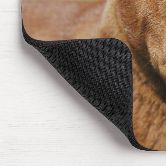 Shar Pei Mousepad (Ecke)