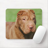 Shar Pei Mousepad (Mit Mouse)