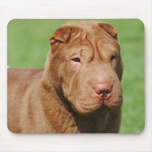 Shar Pei Mousepad (Vorne)