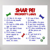 SHAR PEI PL2 POSTER (Vorne)