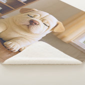 Shar Pei Puppy - Soft Serenity by WangWang Sherpadecke (3/4)