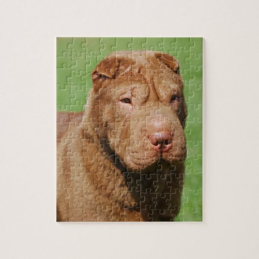 Shar Pei Puzzle (Vertikal)