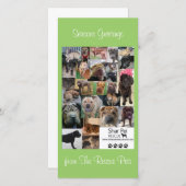 Shar Pei Rescue Xmas Card Feiertagskarte (Vorne/Hinten)