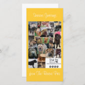 Shar Pei Rescue Xmas Card Feiertagskarte (Vorne/Hinten)