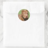 Shar Pei Runder Aufkleber (Tasche)