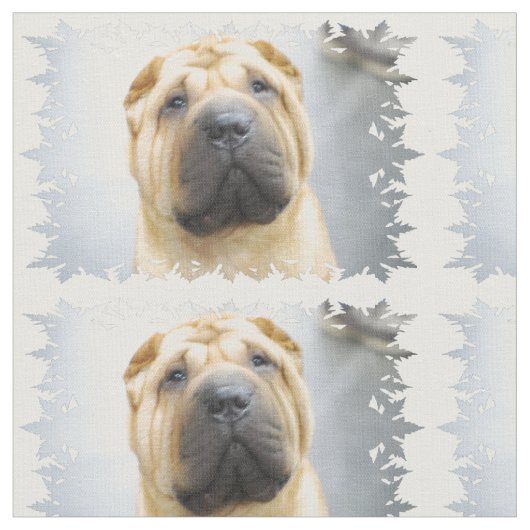 Shar Pei Stoff (Nahaufnahme)