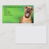 Shar-pei Visitenkarte (Vorne/Hinten)