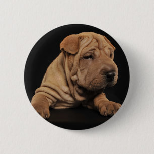 Shar Pei Welpe Button
