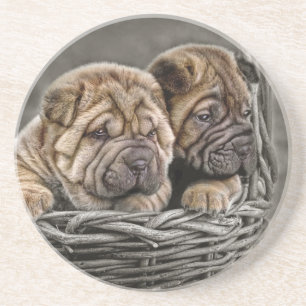Shar-pei Welpen im Korb-Untersetzer Getränkeuntersetzer
