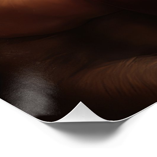 Shar Pei zu Weihnachten Poster (Ecke)