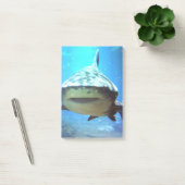 shark-5.jpg post-it klebezettel (Büro)