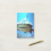 shark-5.jpg post-it klebezettel (Auf Schreibtisch)