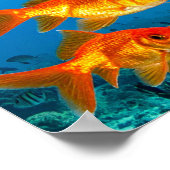 Shark among gold fishes poster (Ecke)