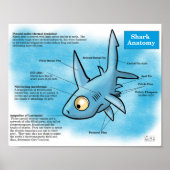 Shark Anatomy Print Poster (Vorne)
