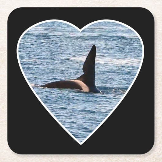 Shark Bite Fin "John Coe" Orca Untersetzer (Vorderseite)