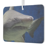 Shark Car Air Freshener. Autolufterfrischer (Links)