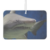 Shark Car Air Freshener. Autolufterfrischer (Vorderseite)