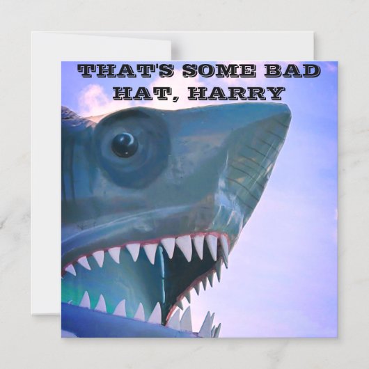 SHARK CRUISISISE TÜR MAGNET (Vorderseite)