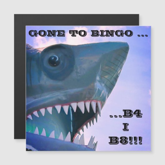 SHARK CRUISISISE TÜR MAGNET (Vorne/Hinten)