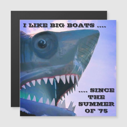 SHARK CRUISISISE TÜR MAGNET (Vorne/Hinten)