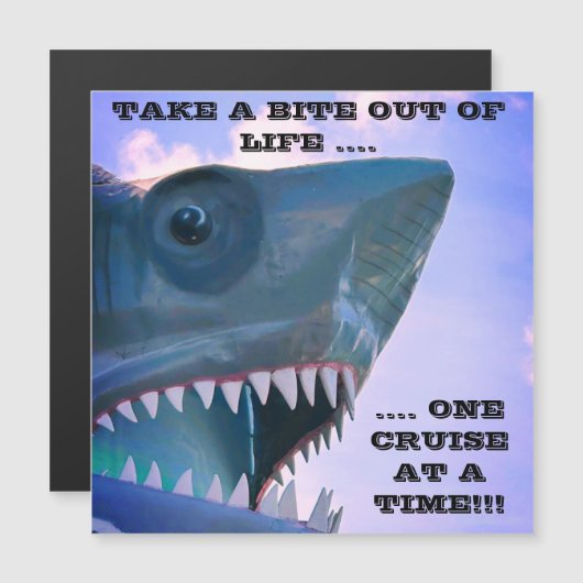 SHARK CRUISISISE TÜR MAGNET (Vorne/Hinten)