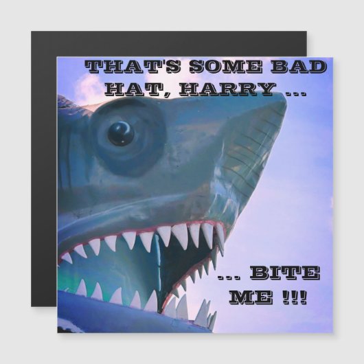 SHARK CRUISISISE TÜR MAGNET (Vorne/Hinten)