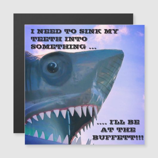 SHARK CRUISISISE TÜR MAGNET (Vorne/Hinten)