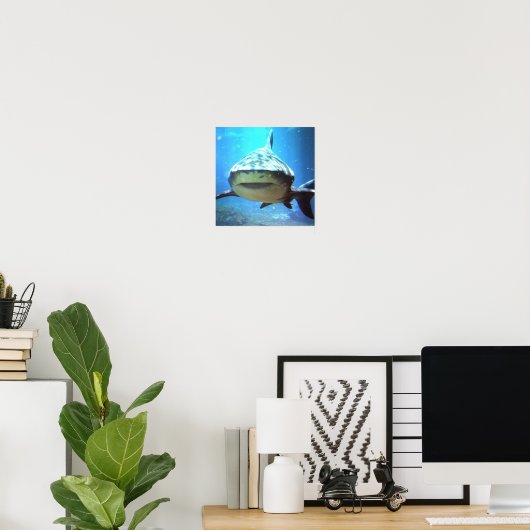 Shark Foto Print Poster (Heimbüro)