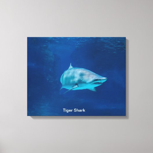 Shark-Image für Stretched Canvas Print Leinwanddruck (Vorderseite)