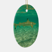 Shark in bora bora keramik ornament (Rechts)