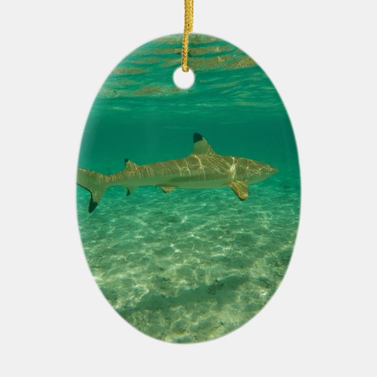 Shark in bora bora keramik ornament (Vorne)