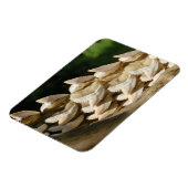 Shark Jawbone und Zähne Magnet (Linke Seite)