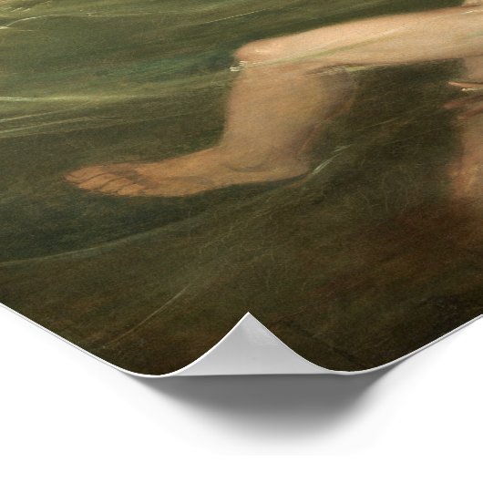 Shark - John Singleton Copley Fine Art Poster (Ecke)