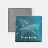 Shark Magnet (Vorderseite/Rückseite)
