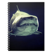 Shark-Notebook Notizblock (Vorderseite)