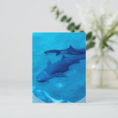Shark Pair Postcard Postkarte (Stehend Vorderseite)