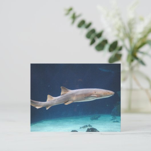Shark Postcard Postkarte (Stehend Vorderseite)