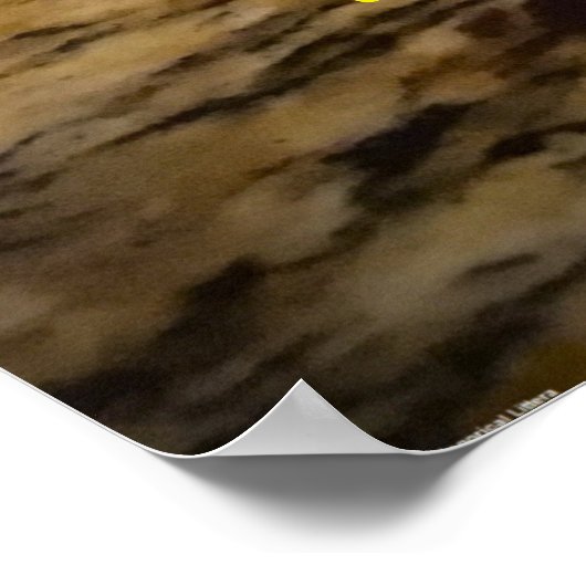 Shark Potato ... wir werden eine größere Schüssel  Poster (Ecke)