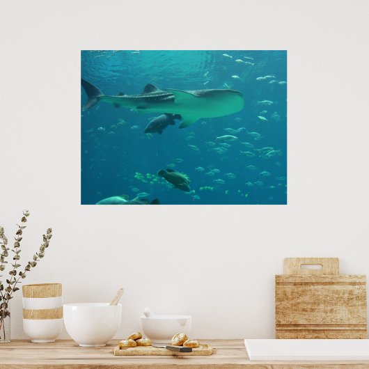 Shark Reef Poster (Küche)