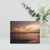 Shark River Belmar Sunset Postcard Postkarte (Stehend Vorderseite)