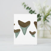 Shark Teeth Postkarte (Stehend Vorderseite)