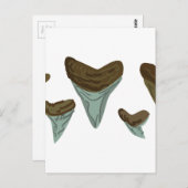 Shark Teeth Postkarte (Vorne/Hinten)
