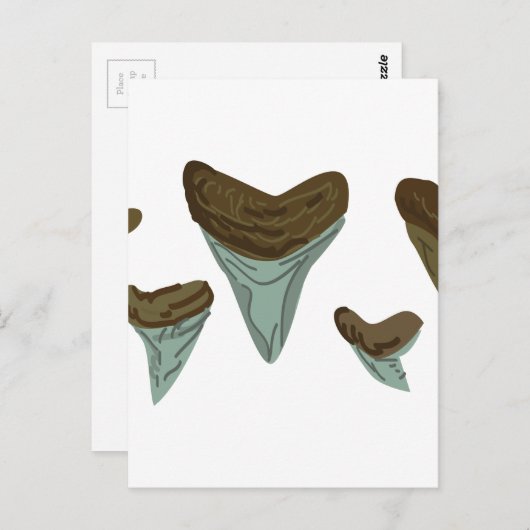 Shark Teeth Postkarte (Vorne/Hinten)