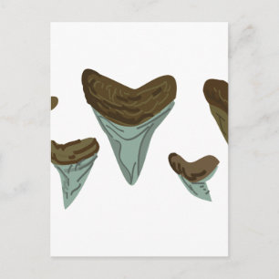 Shark Teeth Postkarte
