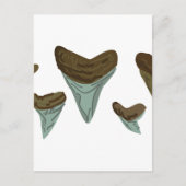 Shark Teeth Postkarte (Vorderseite)