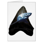 Shark Tooth Card (Vorne)