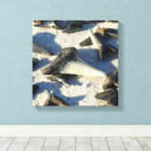 Shark Tooth Leinwand (Insitu (Holzboden))