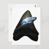 Shark Tooth Postkarte (Vorne/Hinten)