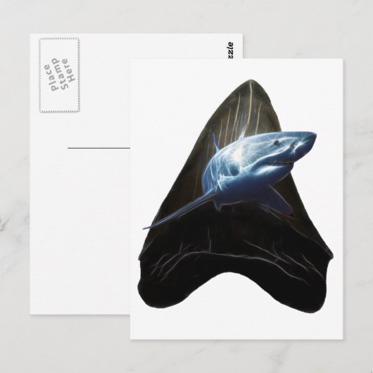 Shark Tooth Postkarte (Vorne/Hinten)
