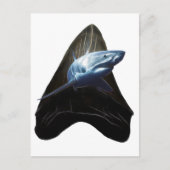 Shark Tooth Postkarte (Vorderseite)